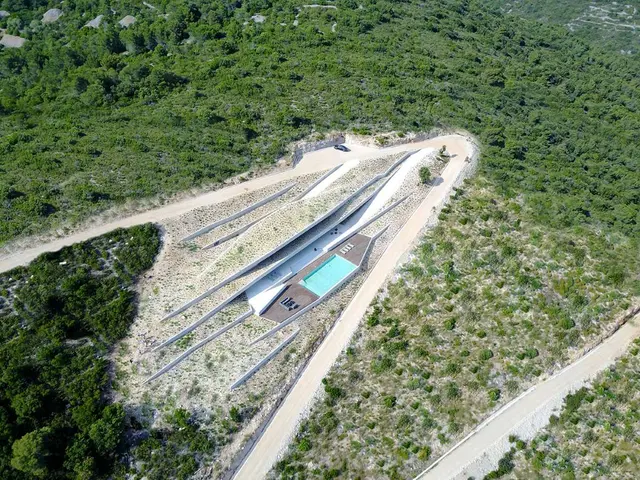 Issa Megaron, Vis